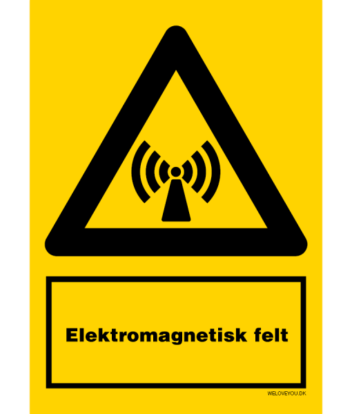 Elektromagnetsk felt