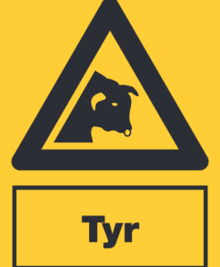 Tyr